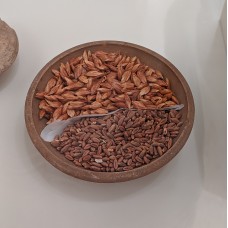Models of Grains, Fruits and Grains from Tombs